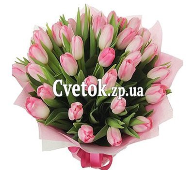 Букет розовых тюльпанов