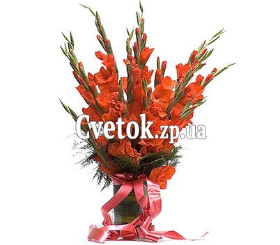 Bouquet of red gladiolus