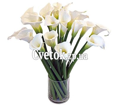 Букет с каллами