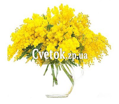 Букет с мимозой