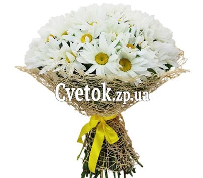 Bouquet with chamomiles