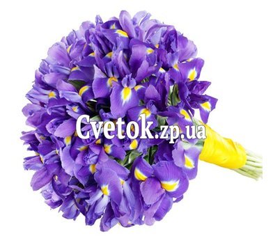 Букет синих ирисов