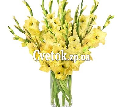 Yellow gladiolus bouquet