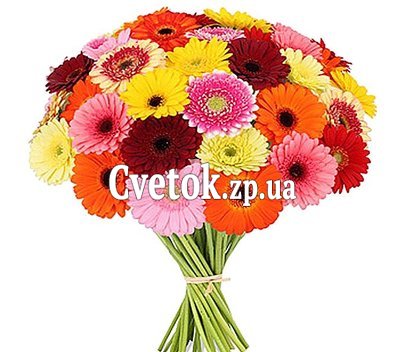 Букет разноцветных гербер