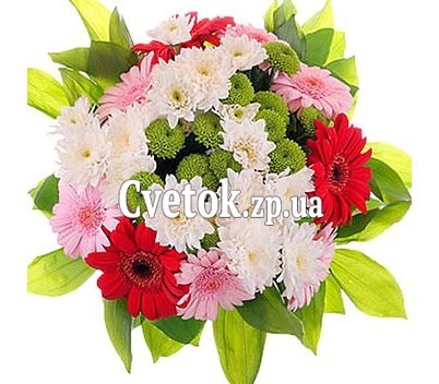 Цветы теще от зятя