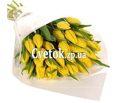 Цветы тюльпаны купить