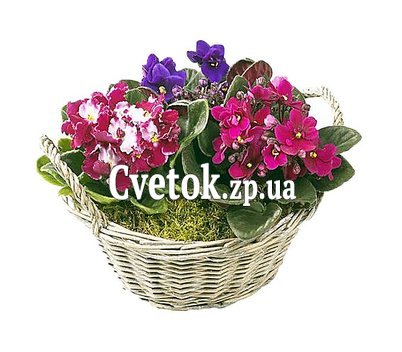 Цветы в корзине недорого