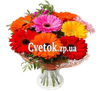 Герберы букет
