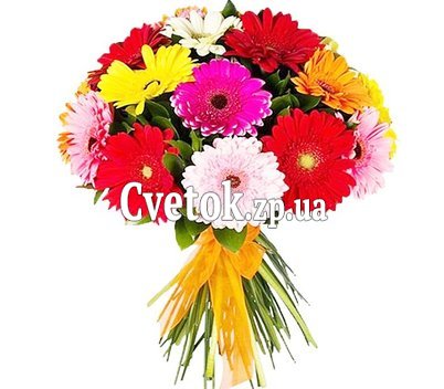 Герберы купить букет