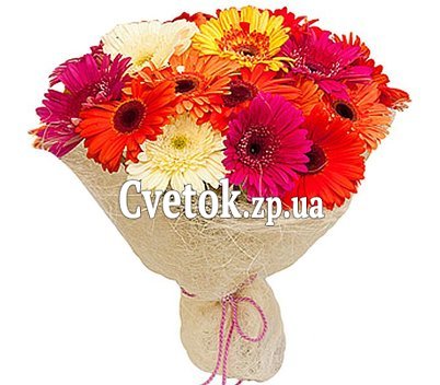 Герберы в букете