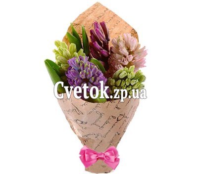Гіацинти букет