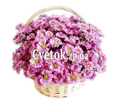 Хризантемы в корзине