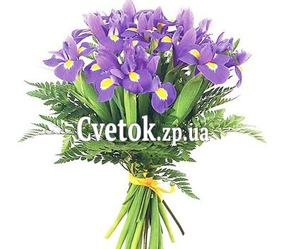 Ирисы букет