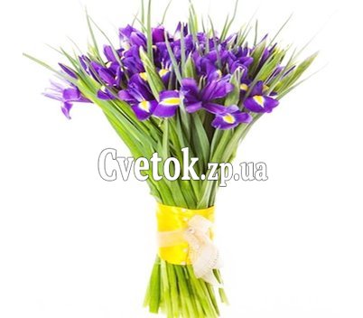 Ирисы для любимой