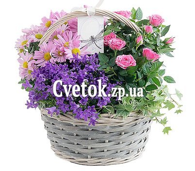 Комнатные цветущие цветы в корзине