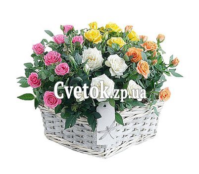 Композиция из кустовых роз в горшках в корзинке