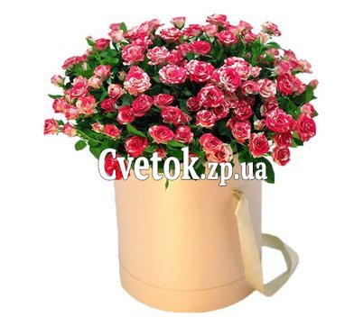 Коробка 19 розовых кустовых роз