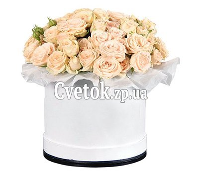 Коробка из 25 кремовых роз