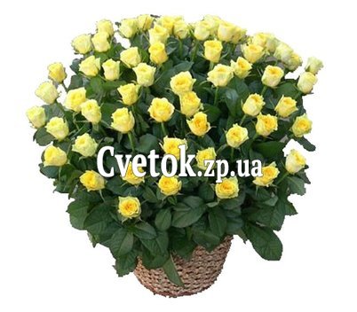 Корзина 135 желтых роз