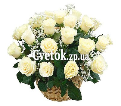 Корзина 21 белая роза