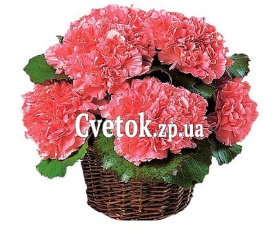 Корзина цветов из гвоздик
