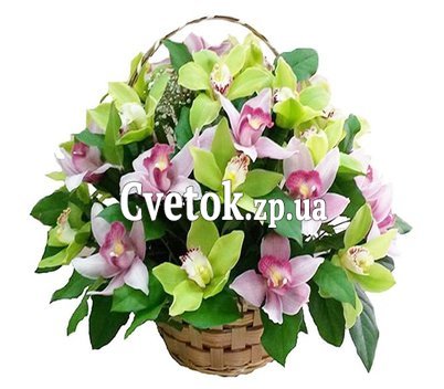 Корзина из 25 орхидей