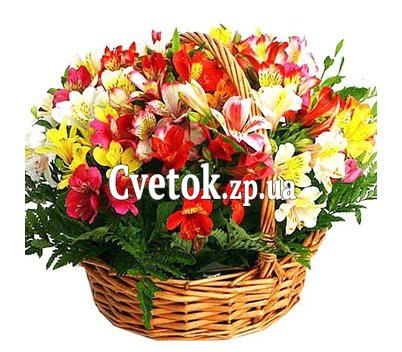 Корзина из альстромерий