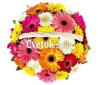 Корзина из гербер