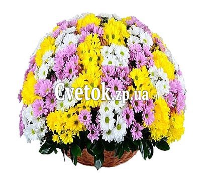 Корзина из разноцветных хризантем