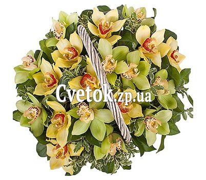 Корзина орхидей