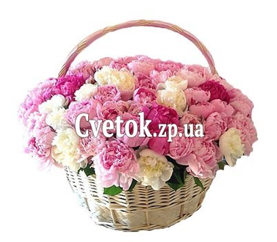 Корзина пионов разных цветов