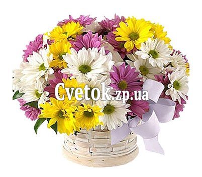 Корзина разноцветных хризантем