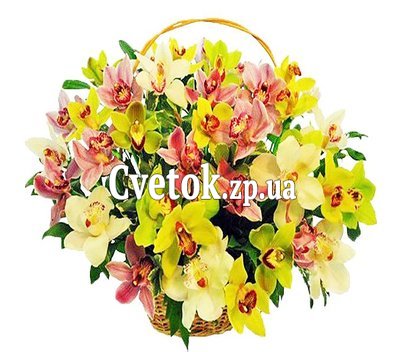 Корзина с орхидеями