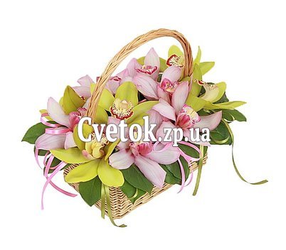 Корзинка из розовых и зеленых орхидей