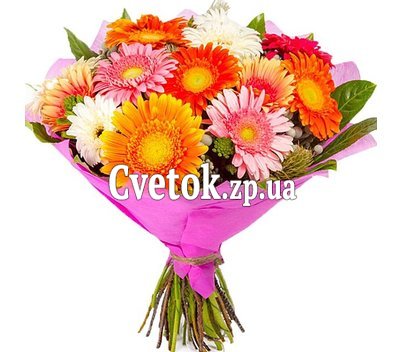 Красивые герберы