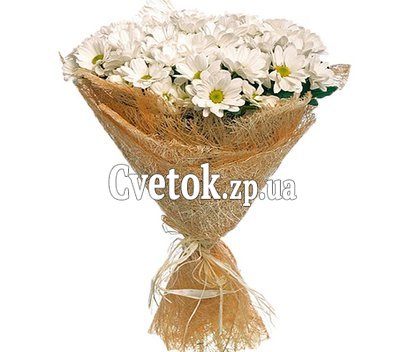 Красивые ромашки