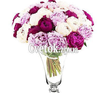 Красивый букет пионов