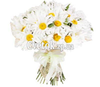 Красивый букет ромашек