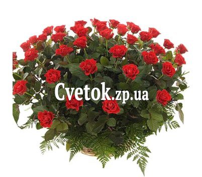 Красные розы в корзине для девушки