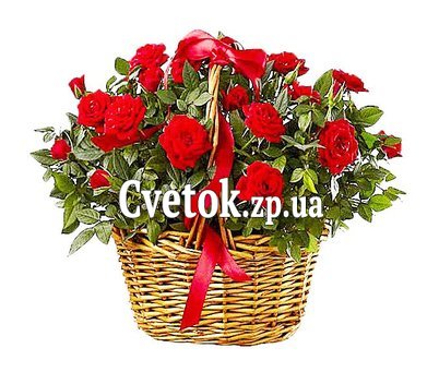Кустовые розы в горшке в корзине