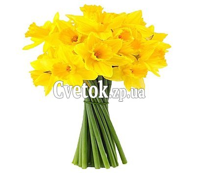 Нарциссы букет