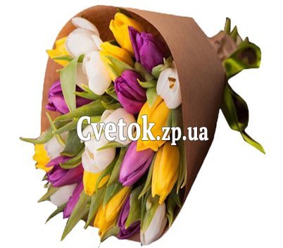 Multicolored tulips