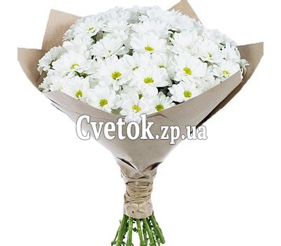 Chamomile bouquet