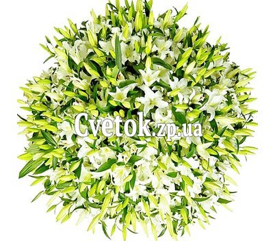 The most beautiful bouquet of 101 lilies