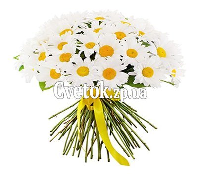 Шикарный букет ромашек