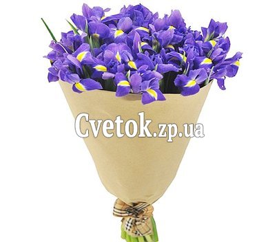 Синие ирисы