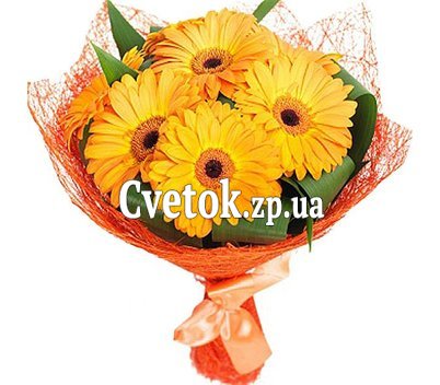Sunny bouquet of gerberas