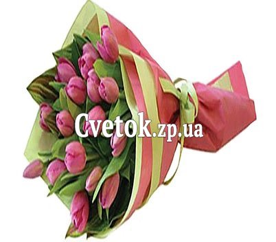 Тюльпаны купить