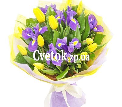 Желтые тюльпаны и синие ирисы