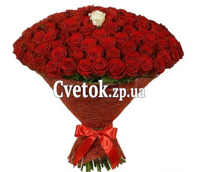 100 красных роз и 1 белая роза